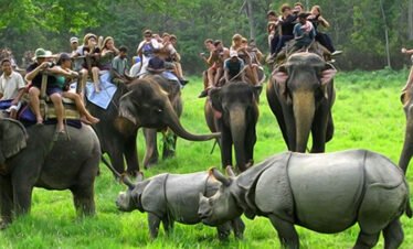 KAZIRANGA (ASSAM