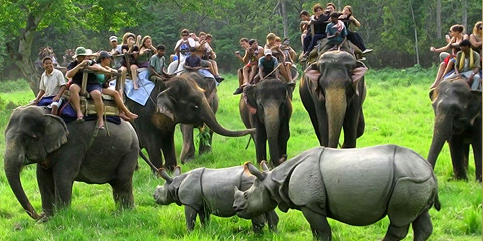 KAZIRANGA (ASSAM